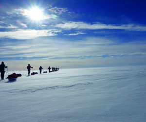 Eine weite Schneelandschaft mit Wanderern und blauem Himmel mit Sonnenschein.
